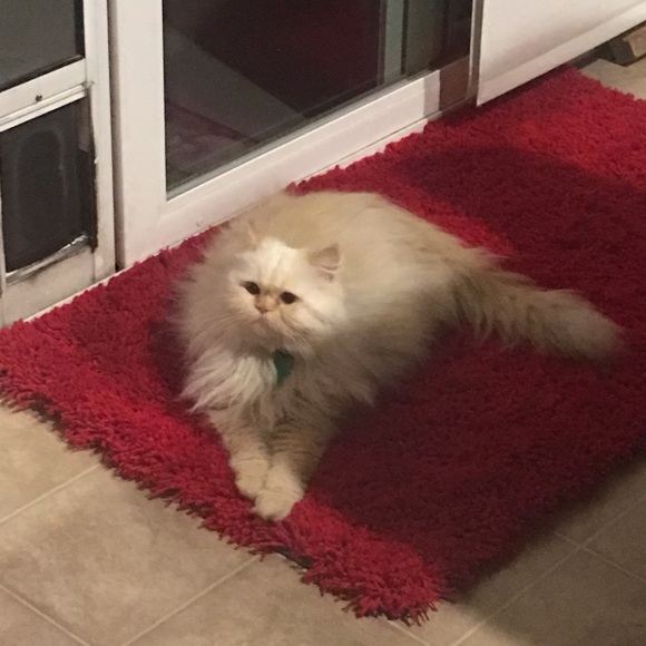 Meet your Posher, Debbie - Picture 1 of 1